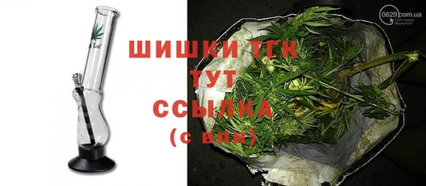 индика Беломорск