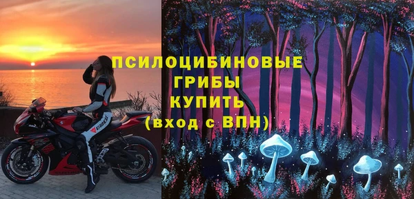 индика Беломорск