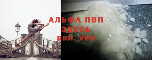индика Беломорск