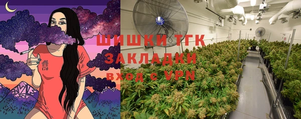 винт Белокуриха