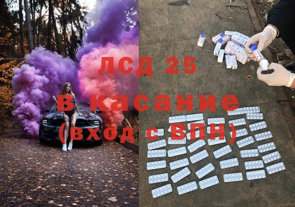 индика Беломорск