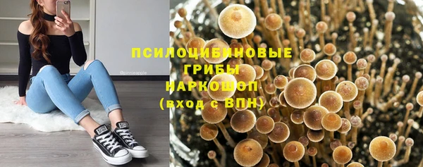 винт Белокуриха
