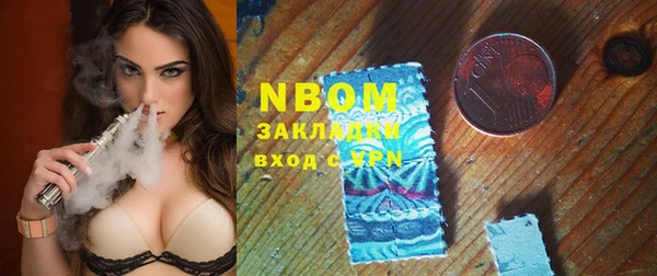 индика Беломорск