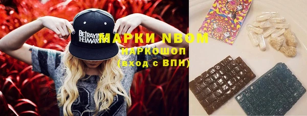 индика Беломорск