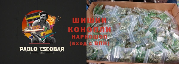 индика Беломорск