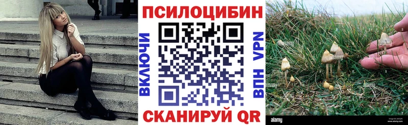 Галлюциногенные грибы Cubensis  МЕГА ТОР  Челябинск 